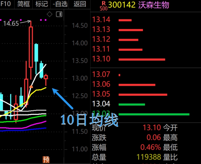 2026年1月29日A股周线月线双级别调整实盘直播 第14张